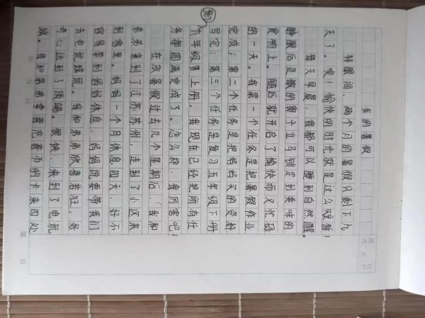 暑假的一天作文怎么写_暑假的一天600字作文如何扩写到800字-第3张图片-星辰妙记