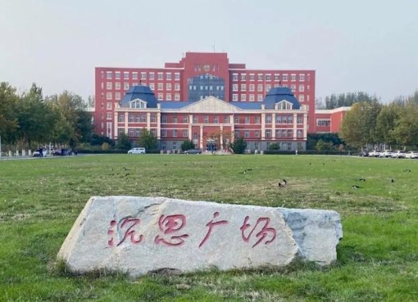 东北大学秦皇岛分校怎么样_值得报考吗-第1张图片-星辰妙记