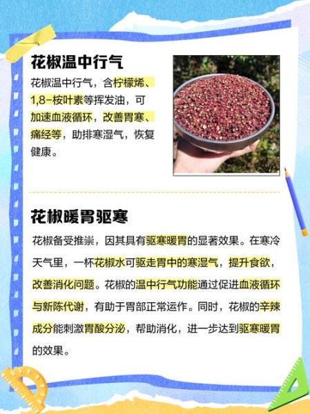 孕妇可以摘花椒吗_孕期接触花椒安全吗-第3张图片-星辰妙记 孕妇可以摘花椒吗_孕期接触花椒安全吗-第3张图片-星辰妙记