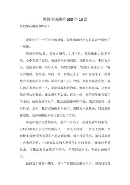 暑假趣事作文500字怎么写_暑假趣事作文500字范文-第3张图片-星辰妙记