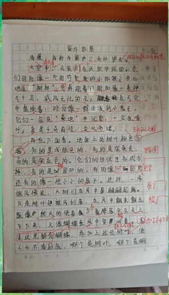 网里网外作文怎么写_网里网外作文素材哪里找-第2张图片-星辰妙记 网里网外作文怎么写_网里网外作文素材哪里找-第2张图片-星辰妙记