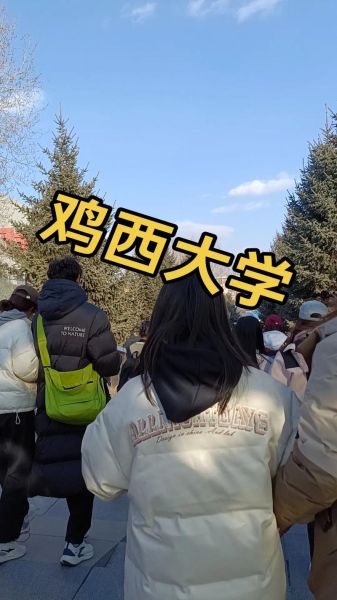鸡西大学怎么样_鸡西大学专业有哪些-第1张图片-星辰妙记 鸡西大学怎么样_鸡西大学专业有哪些-第1张图片-星辰妙记