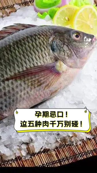 孕妇不能吃什么肉类_孕妇忌口肉类有哪些-第3张图片-星辰妙记 孕妇不能吃什么肉类_孕妇忌口肉类有哪些-第3张图片-星辰妙记