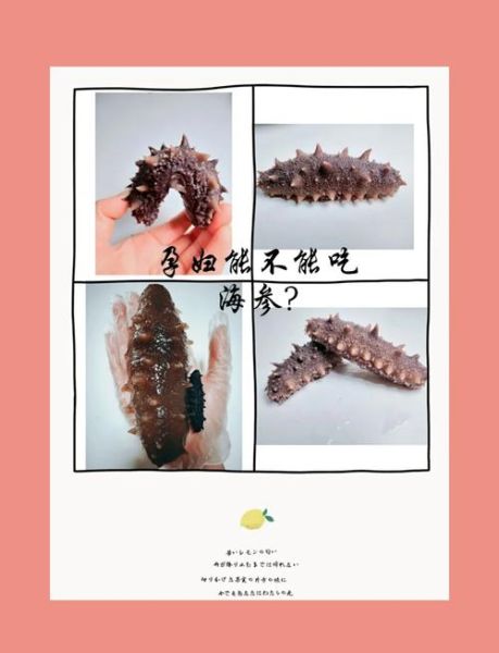 孕妇可以吃海参吗_怀孕吃海参的好处与禁忌-第2张图片-星辰妙记