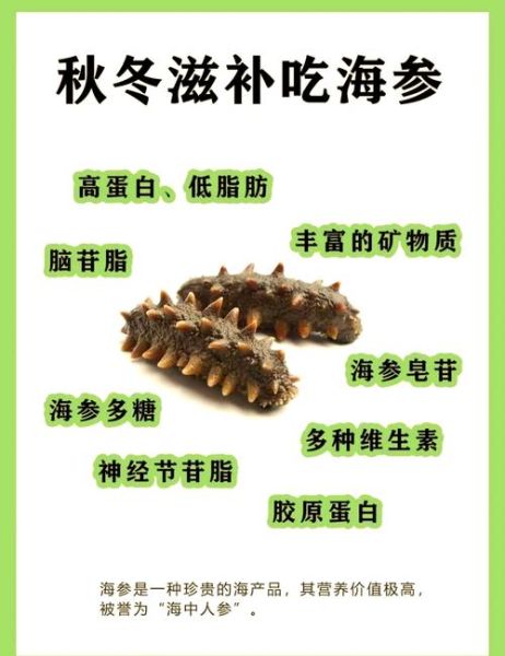 孕妇可以吃海参吗_怀孕吃海参的好处与禁忌-第3张图片-星辰妙记