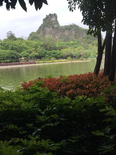 雀儿山公园作文怎么写_有哪些写作技巧-第2张图片-星辰妙记