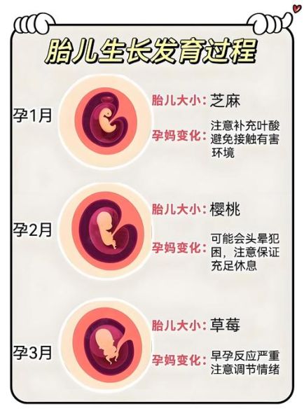 孕妇能做脑电图吗_对胎儿有影响吗-第2张图片-星辰妙记