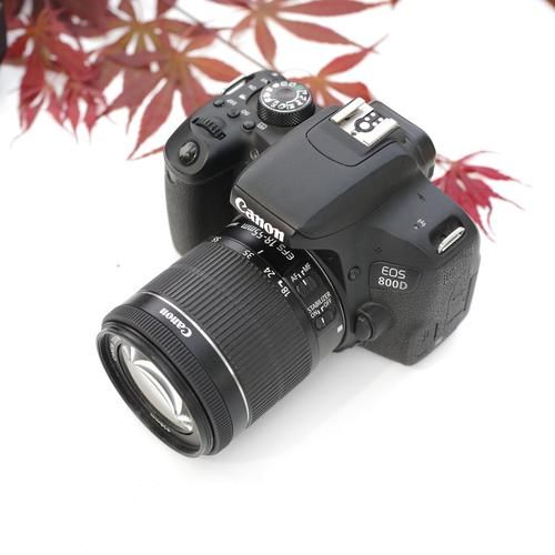 佳能1855镜头适合拍什么_新手入门拍什么题材-第2张图片-星辰妙记