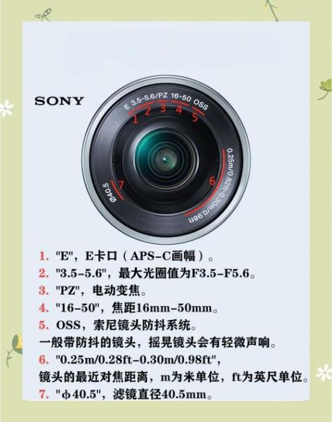 索尼美食镜头推荐哪款_索尼微距镜头怎么选-第2张图片-星辰妙记