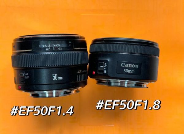50mm_1.4镜头适合拍什么_如何拍出虚化-第2张图片-星辰妙记