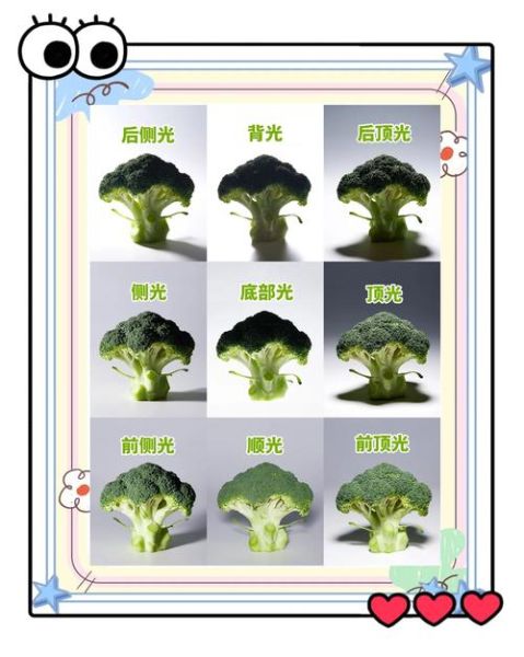 静物镜头怎么选_静物摄影用什么镜头-第1张图片-星辰妙记