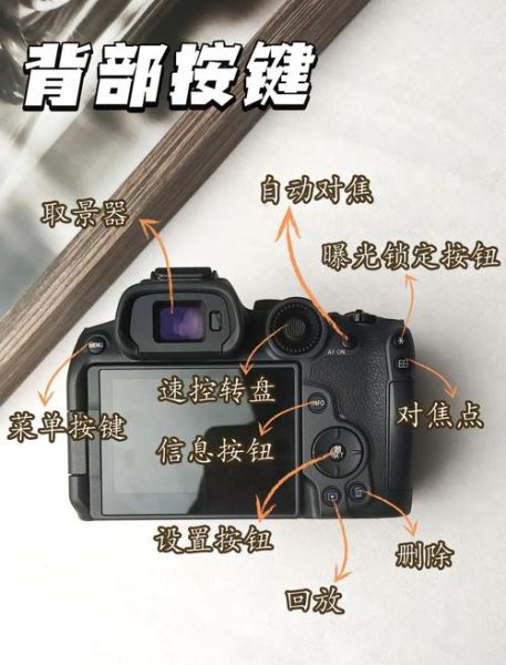 佳能镜头怎么除尘_佳能镜头除尘多少钱-第3张图片-星辰妙记