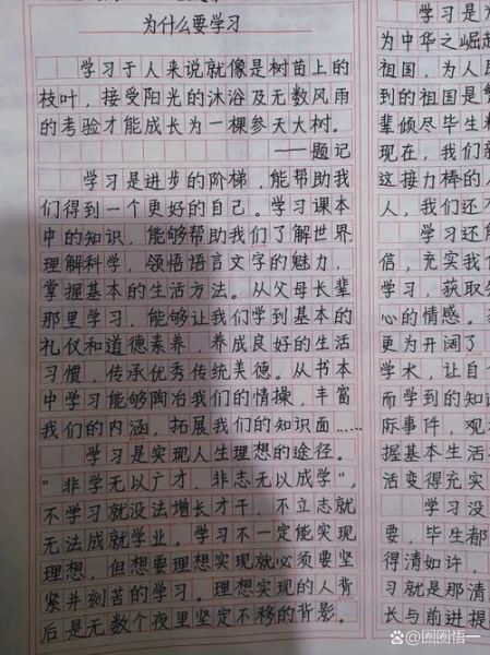 如何写好作文700字_作文700字写作技巧-第3张图片-星辰妙记