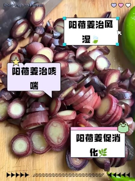 孕妇能吃阳荷吗_阳荷对孕妇有什么好处-第2张图片-星辰妙记