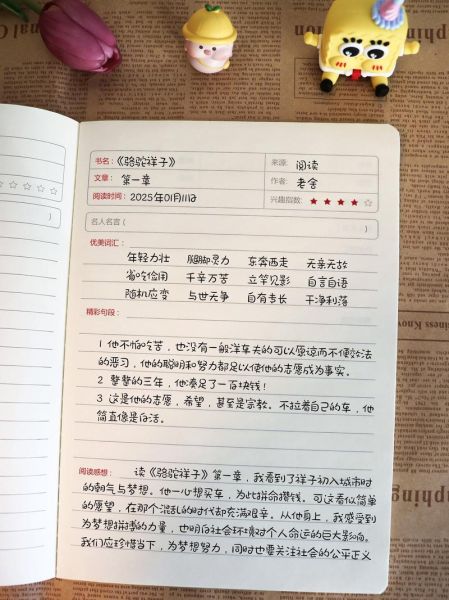 读书笔记怎么写_如何提升作文水平-第1张图片-星辰妙记