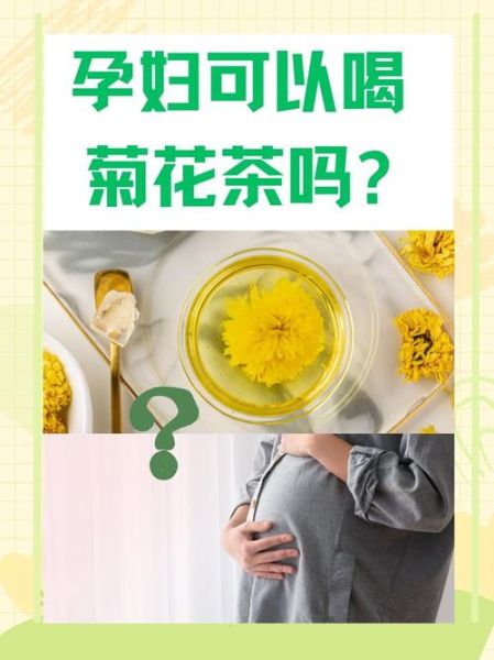 孕妇可以喝菊花茶吗_孕妇喝菊花茶对胎儿有影响吗-第1张图片-星辰妙记 孕妇可以喝菊花茶吗_孕妇喝菊花茶对胎儿有影响吗-第1张图片-星辰妙记