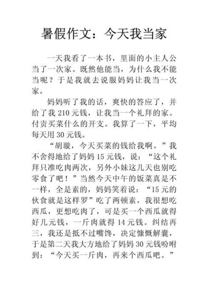 今天我当家作文400字怎么写_今天我当家作文写作技巧-第1张图片-星辰妙记