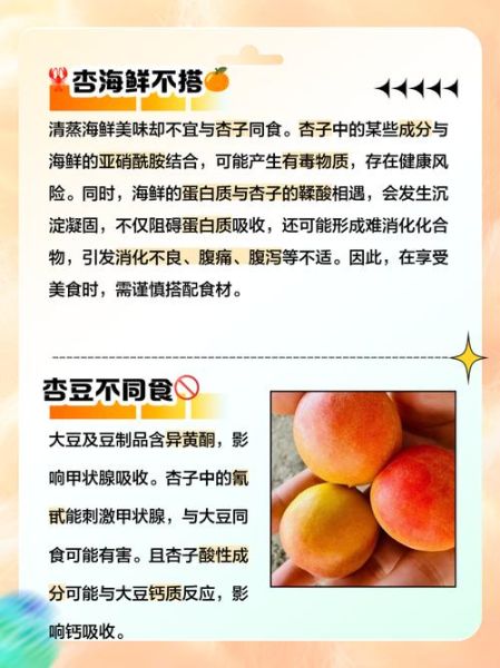 孕妇能吃杏吗_孕期吃杏的注意事项-第1张图片-星辰妙记