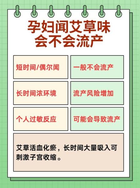 艾草孕妇能用吗_孕妇闻艾草味有影响吗-第1张图片-星辰妙记