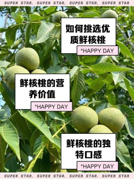 孕妇能吃鲜核桃吗_鲜核桃对孕妇的好处-第2张图片-星辰妙记