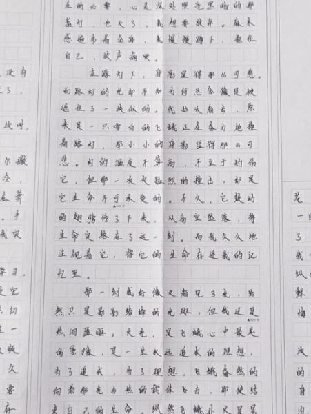 跨越作文600字怎么写_跨越作文600字优秀范文-第1张图片-星辰妙记