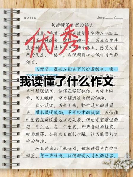 小学生作文怎么写_我读懂了什么作文-第1张图片-星辰妙记