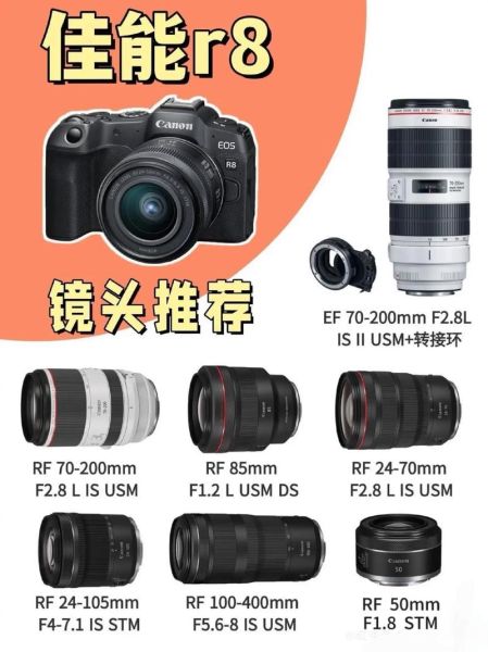 佳能最值得买的镜头_新手怎么选-第1张图片-星辰妙记
