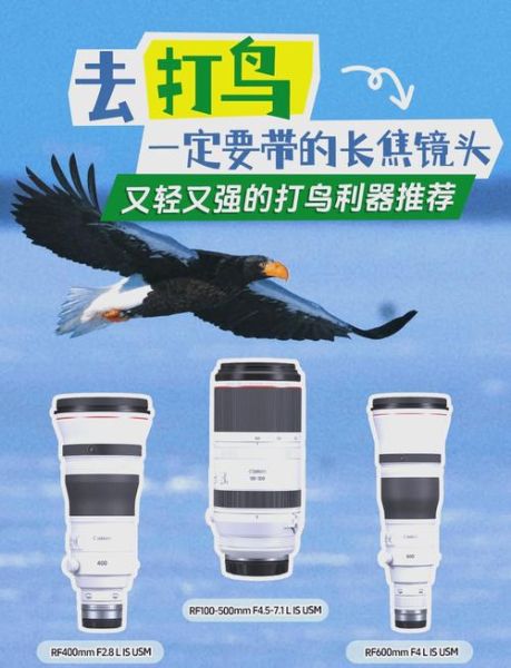 平民打鸟镜头推荐_预算2000以内怎么选-第2张图片-星辰妙记