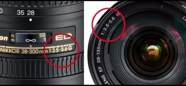 单反打鸟镜头推荐_如何选焦距-第1张图片-星辰妙记