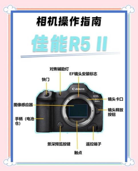 佳能镜头校正怎么用_佳能镜头校正数据在哪下载-第1张图片-星辰妙记