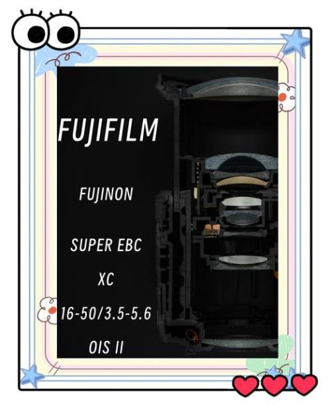 解剖镜头是什么_解剖镜头怎么选-第2张图片-星辰妙记