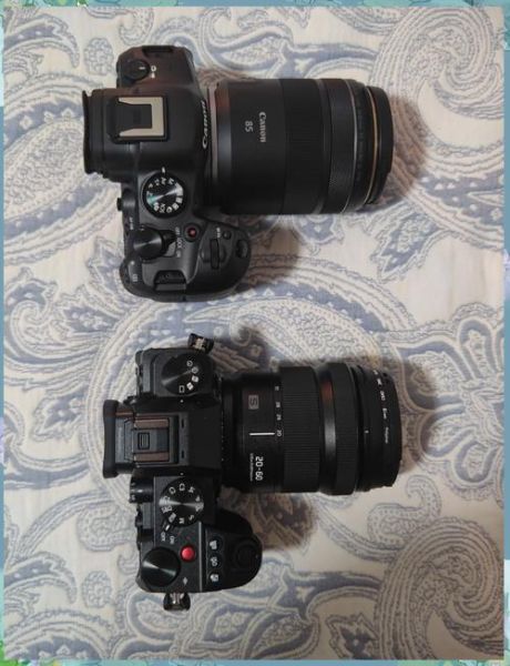 佳能24-70和索尼24-70哪个好_画质对比-第3张图片-星辰妙记