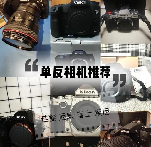 单反慢镜头怎么拍_单反慢镜头拍摄技巧-第3张图片-星辰妙记