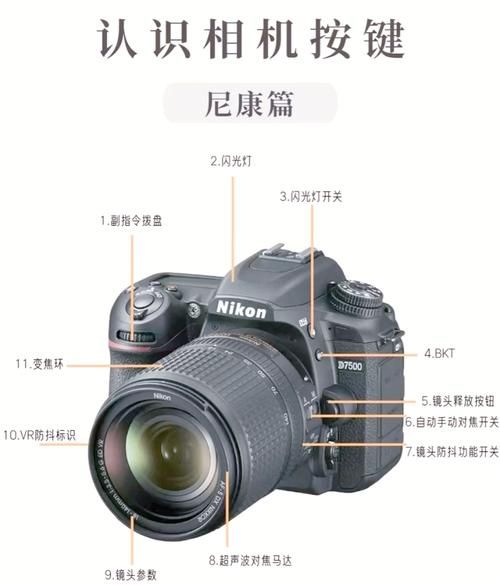 尼康镜头壁纸哪里下载_尼康镜头壁纸怎么设置-第1张图片-星辰妙记 尼康镜头壁纸哪里下载_尼康镜头壁纸怎么设置-第1张图片-星辰妙记