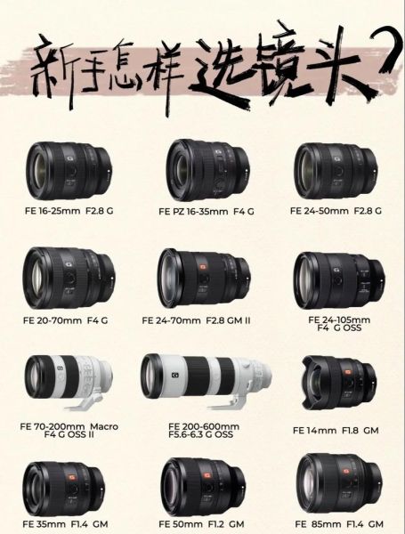 索尼单反镜头怎么选_索尼单反镜头推荐-第2张图片-星辰妙记