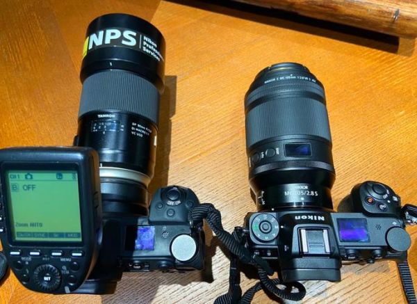 佳能镜头和腾龙镜头哪个好_选购对比与实拍体验-第2张图片-星辰妙记