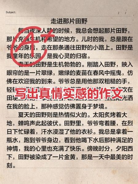 什么是学会了理解作文_如何写出真情实感-第1张图片-星辰妙记