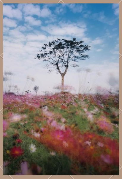 广角镜头下载_手机端如何安装-第3张图片-星辰妙记