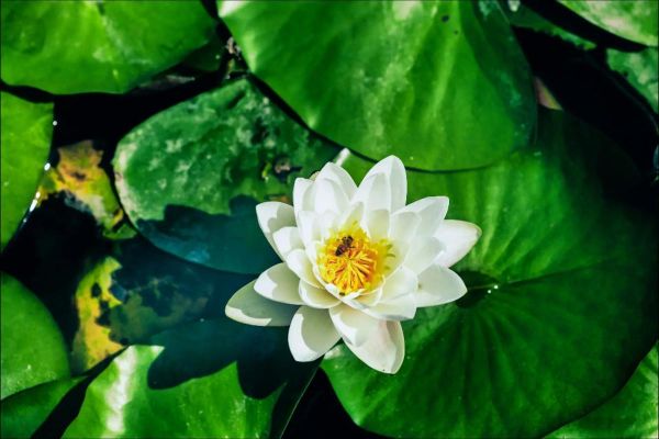 风景镜头怎么拍_风景镜头适合拍什么-第3张图片-星辰妙记 风景镜头怎么拍_风景镜头适合拍什么-第3张图片-星辰妙记