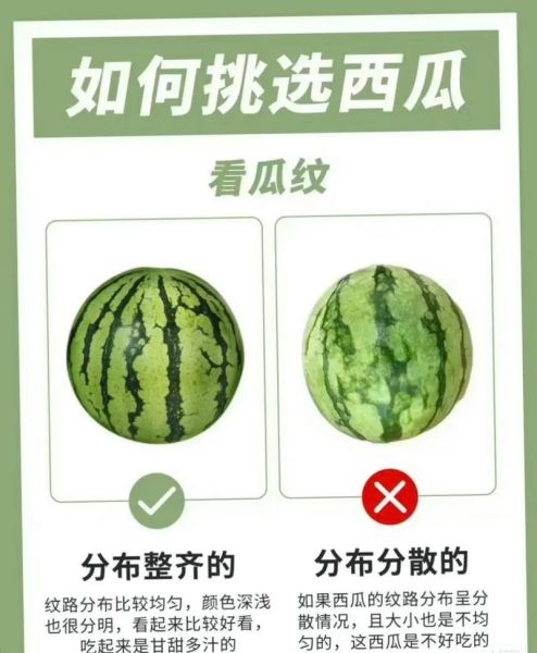 西瓜怎么挑选_西瓜为什么这么甜-第3张图片-星辰妙记
