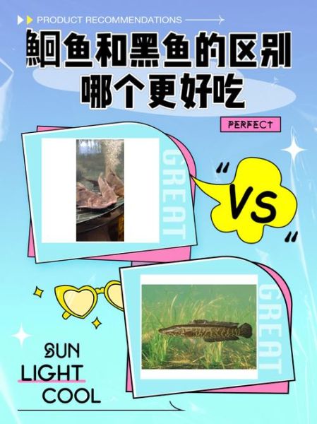 黑鮰鱼孕妇可以吃吗_黑鮰鱼营养价值与禁忌-第1张图片-星辰妙记