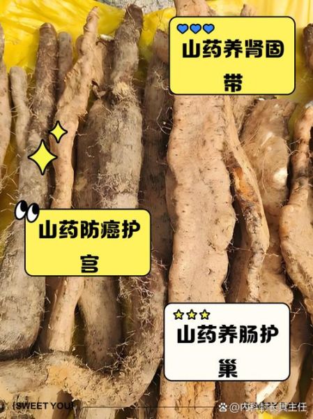 孕妇可以吃山药吗_山药对胎儿有什么好处-第3张图片-星辰妙记