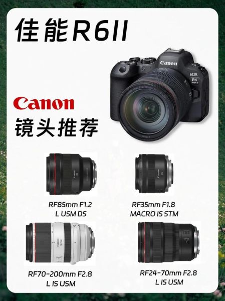 佳能万能镜头哪款好_佳能万能镜头怎么选-第3张图片-星辰妙记
