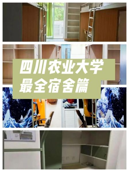四川农业大学雅安校区怎么样_雅安校区宿舍条件-第1张图片-星辰妙记