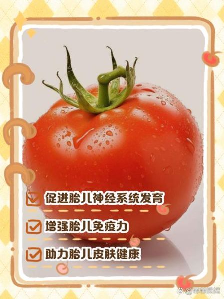 孕妇能吃生西红柿吗_生吃西红柿对胎儿好吗-第3张图片-星辰妙记
