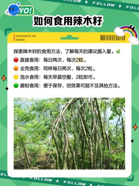孕妇可以吃辣木籽吗_辣木籽对孕妇的影响-第2张图片-星辰妙记