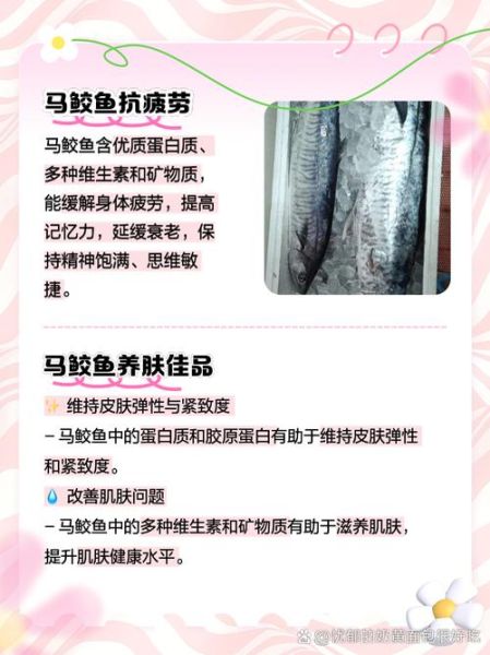 马鲛鱼孕妇可以吃吗_孕妇吃马鲛鱼的注意事项-第1张图片-星辰妙记