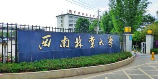西南林业大学怎么样_西南林业大学值得报考吗-第1张图片-星辰妙记 西南林业大学怎么样_西南林业大学值得报考吗-第1张图片-星辰妙记
