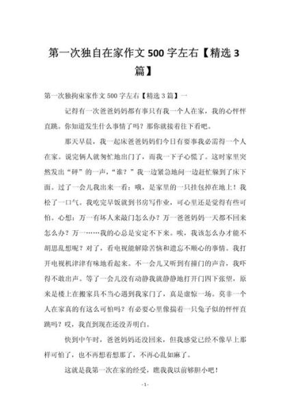 优秀作文500字怎么写_优秀作文500字范文有哪些-第3张图片-星辰妙记