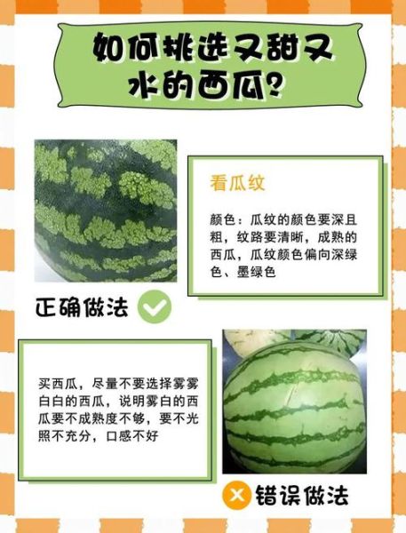 西瓜怎么挑选才甜_西瓜怎么保存时间长-第1张图片-星辰妙记